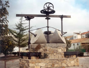 montillana.jpg