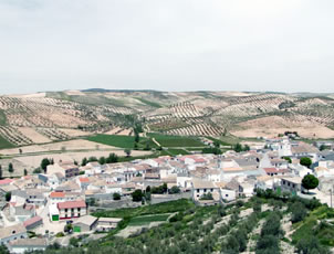 pinar.jpg